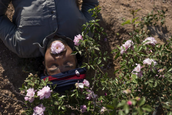 Moussa Algebaly (25) from the Jebeleya tribe lies under the tea flower plant after daily maintenance in his garden in Al Tarfa, South Sinai, Egypt. April 2020. 

When boiled, the tea flower plant helps reduce period and labour pain for the Bedouin women who struggle to find medical care. 

After years of drought, a major flood occurred in mid-March 2020, providing an agricultural opportunity for the Bedouin community amid the economic impacts caused by the pandemic. For the community whose main source of income is tourism, the flood is a miracle. The land has given back to its keepers in the time of crisis.