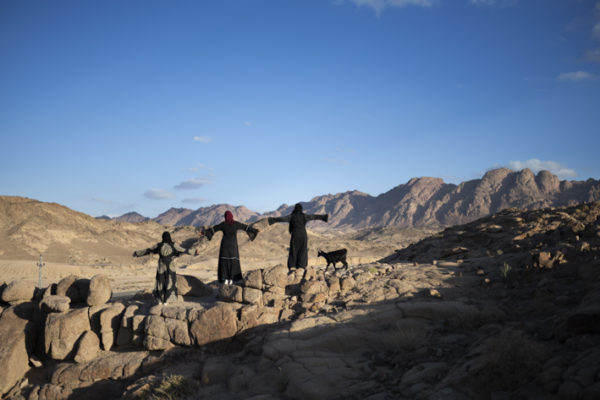 Every day, the women of AlTarfa village walk in a group of four from sunrise to sunset leading the herd of sheep and goats as they feed on the wild plants of the surrounding mountains. As the herd feeds, the women talk, share concerns, ask for advice and learn from one another. A sisterhood that is formed through mutual support and unity. From left to right: Nora, Nadia and Mariam stand on the edge of a mountain looking over their village AlTarfa, St. Catherine, South Sinai, Egypt. February 2021.